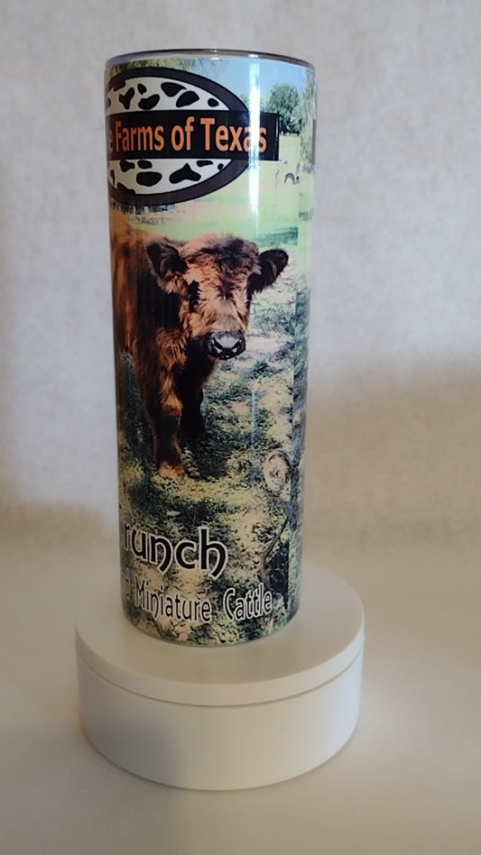 Freckle Farms of Texas highland cow  "Crunch" Tumbler